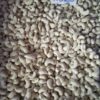 Cashews Whole (W320)